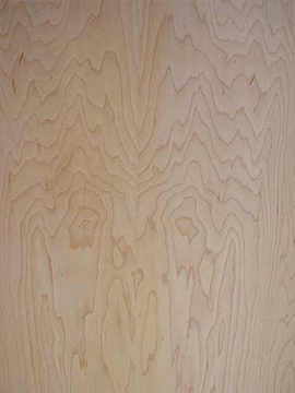 Pre-Finished Birch Plywood