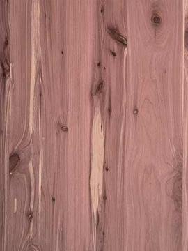 Aromatic Cedar